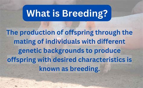 breeding